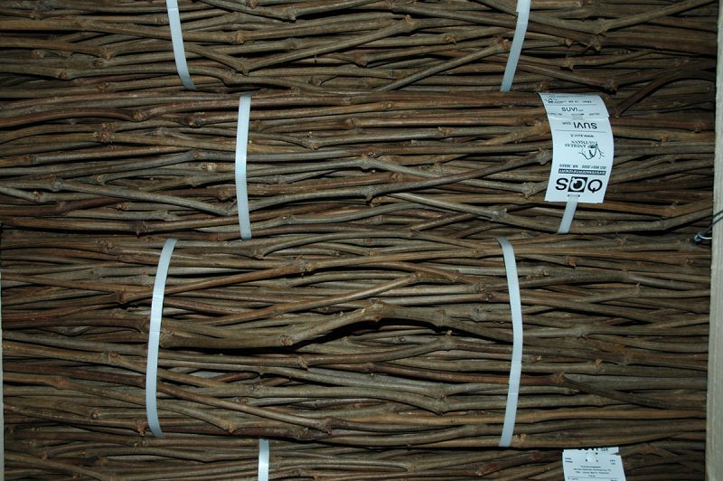 Binova - Unterlagsrebe 33cm